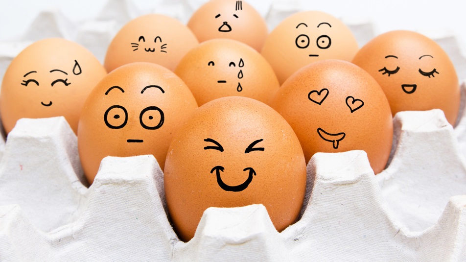 Benefits of Eggs for Your Kids