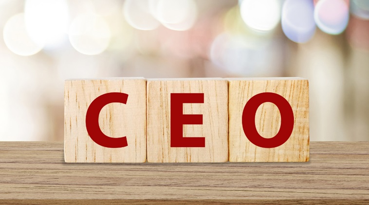 Transforming CEOs