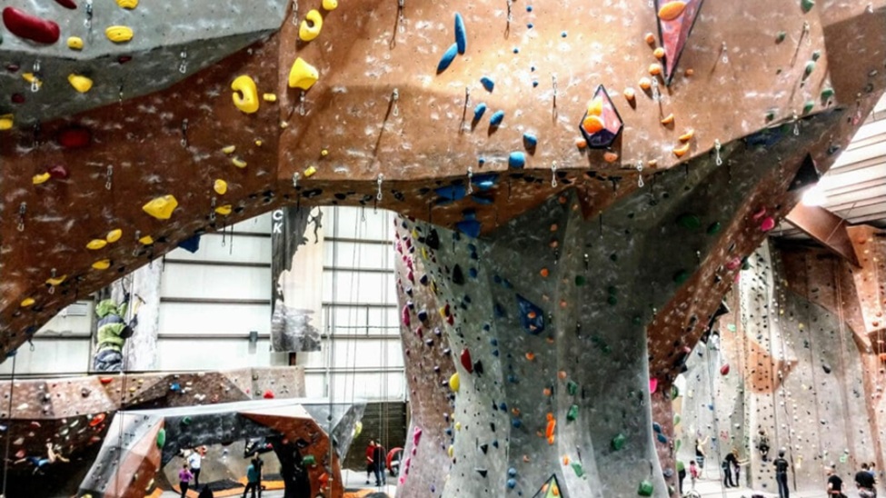 A Local Favorite for Climbing and Fitness in Northern Virginia